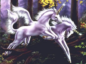 jednorozci.jpg